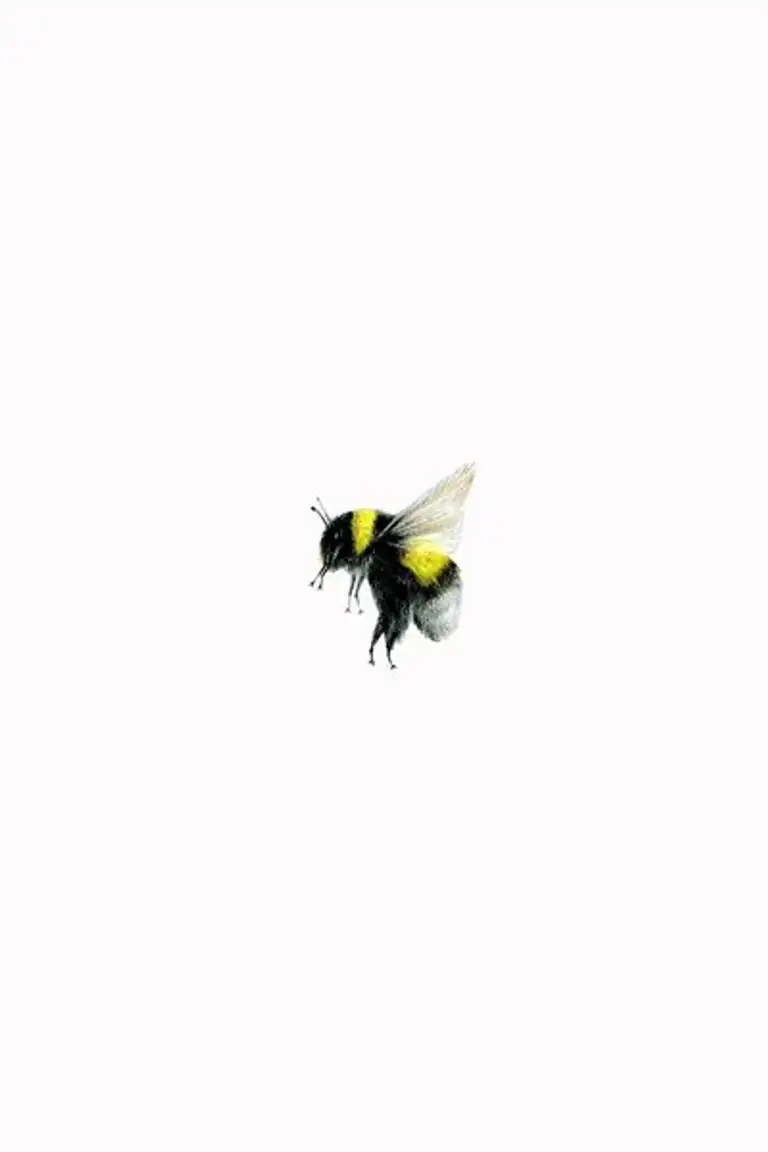 BEE 2