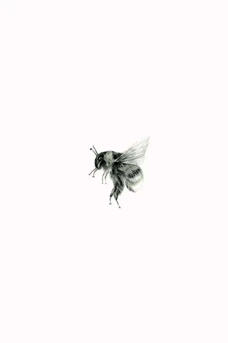 BEE 1