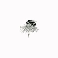 BEE 5