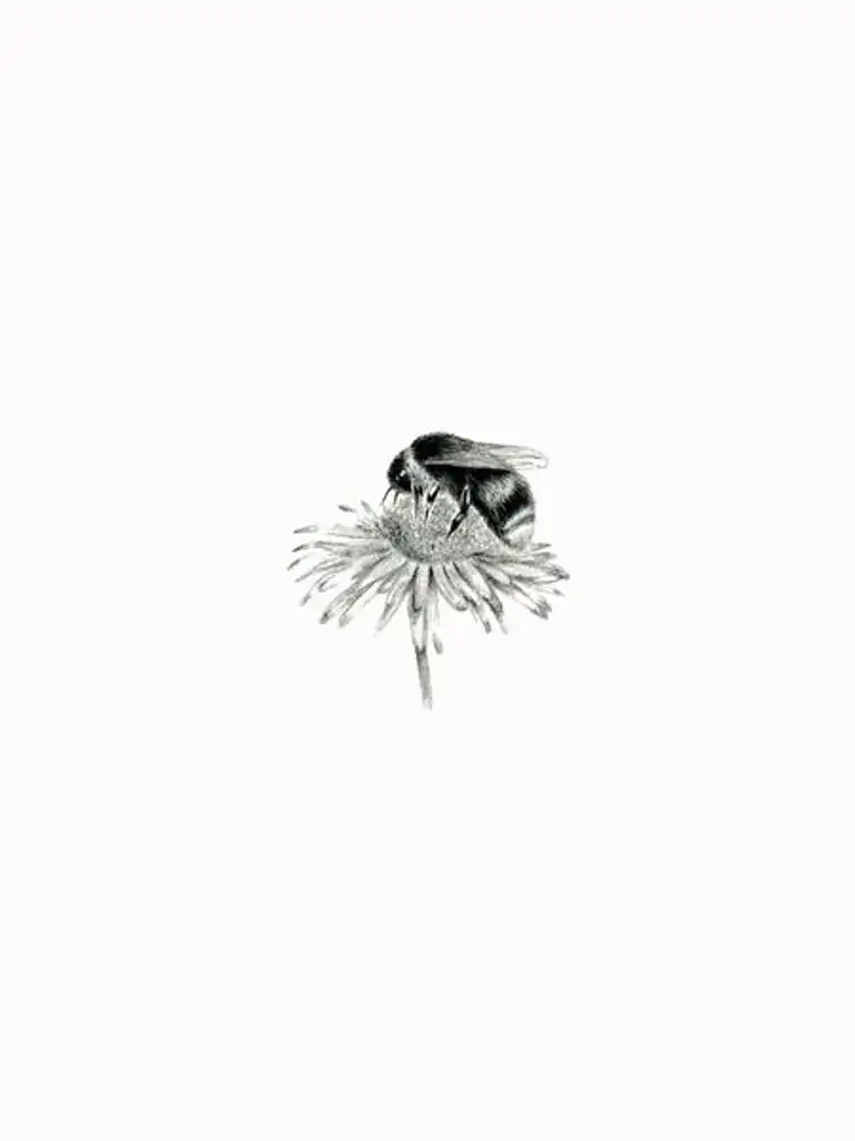 BEE 5