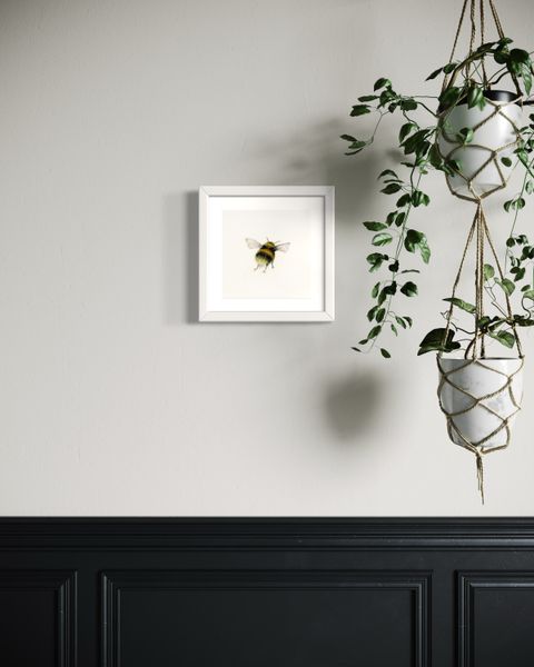 coloured pencil drawing of a bumble bee by Katrina Thompson 