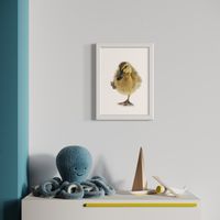 coloured pencil drawing of little duckling with one foot in the air by Katrina Thompson