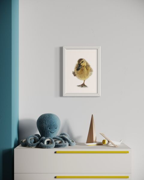 coloured pencil drawing of little duckling with one foot in the air by Katrina Thompson