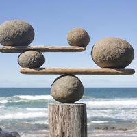 Rocks balancing on driftwood