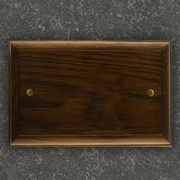 SB2 - Heritage twin blanking plate