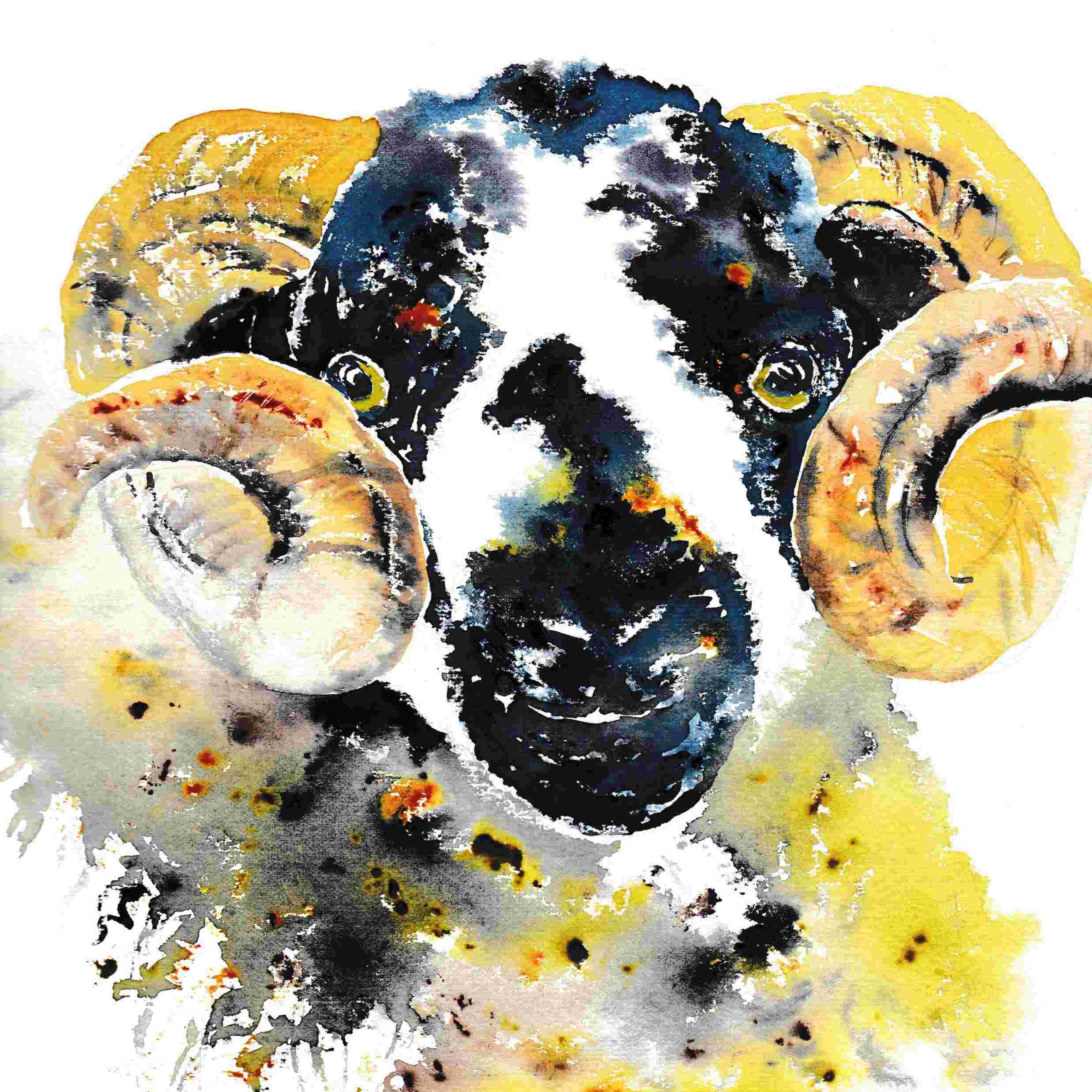 Watercolour painting of a ram with curled horns by Bev Parker.
