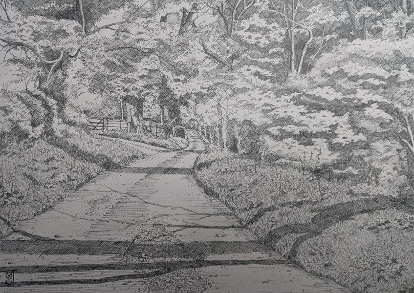 Havernook Lane - Summer. An original drawing by Matthew Eyles