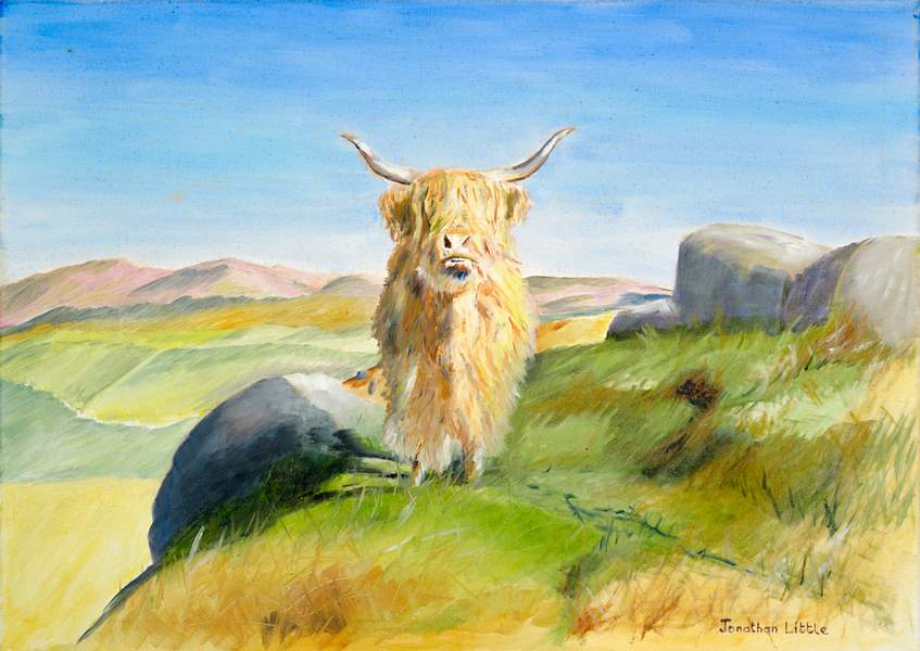 This original oil painting by Jonathan Little was inspired by a local lockdown walk in the Yorkshire Dales National Park where I came across a group of highland cattle on Rough Haw quietly grazing. There is something very endearing about these animals, with their commanding stature and big horns, they manage to somehow look majestic and disheveled at the same time. They are one of the UK's oldest breeds of cattle and its easy to imagine one of its ancestors standing in that same spot centuries ago. These cows, bulls and calfs are often found on remote Yorkshire Moorside hills  grazing in amounts heather and rocky outcrops, part of the remote farming  scene.
