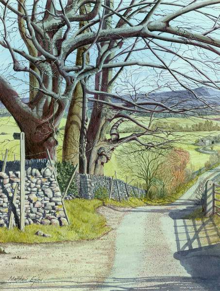 Winter's End on Hills Lane original painting by Matthew Eyles showing a country lane running beneath winter trees