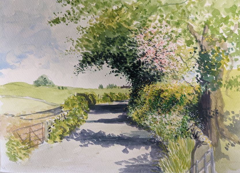 Summer on the Road to Hetton. An original painting by Matthew Eyles